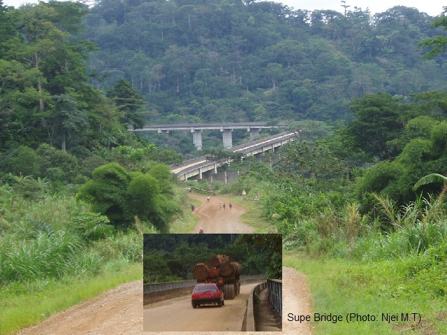 Supe Bridge, Cameroon (photo: Njei M.T)